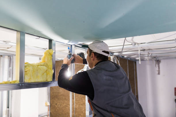 Best Specialty Insulation in Hector, MN