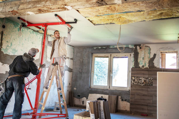 Best Specialty Insulation in Hector, MN